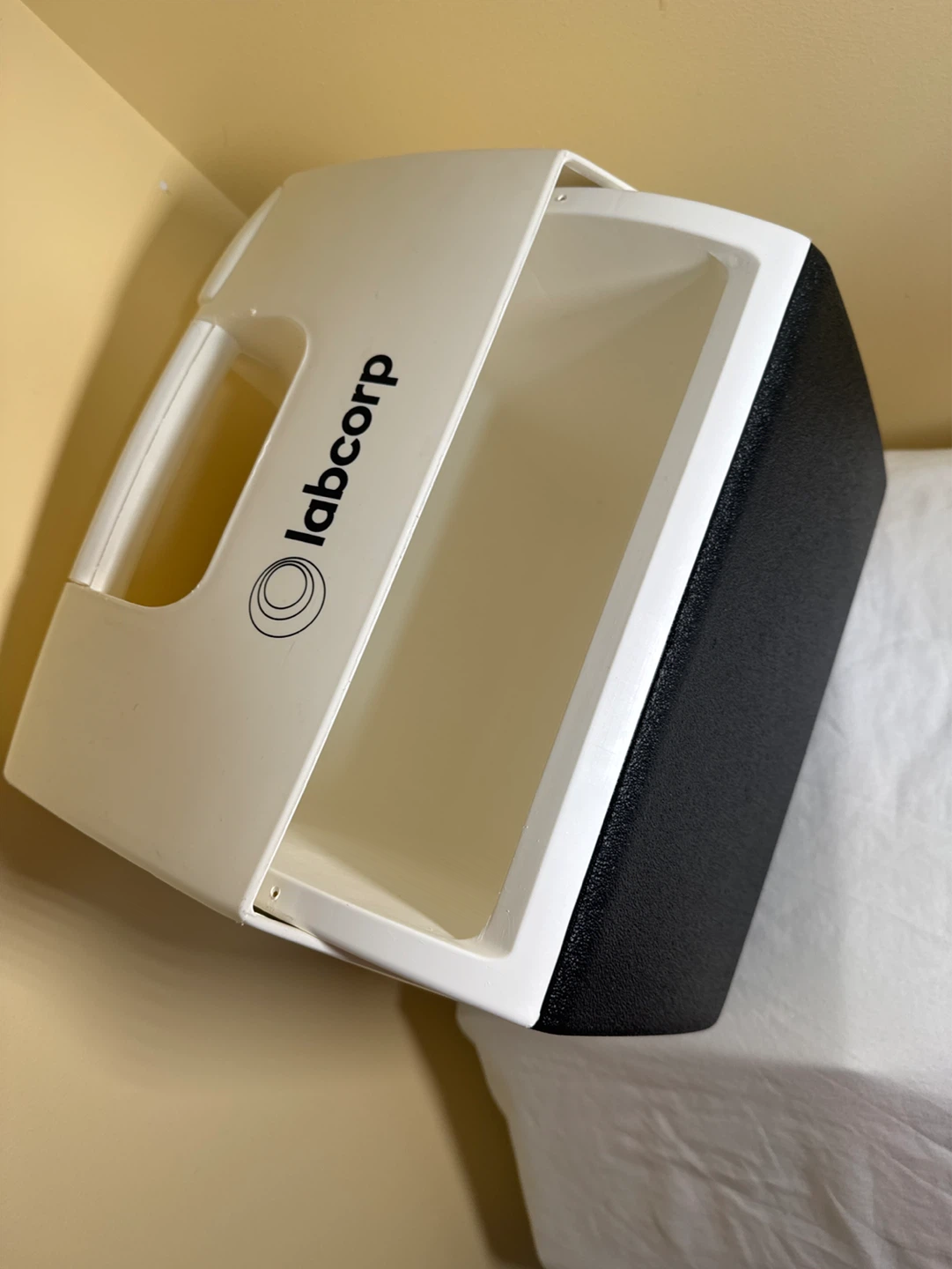 Labcorp Cooler Bag - photo 4