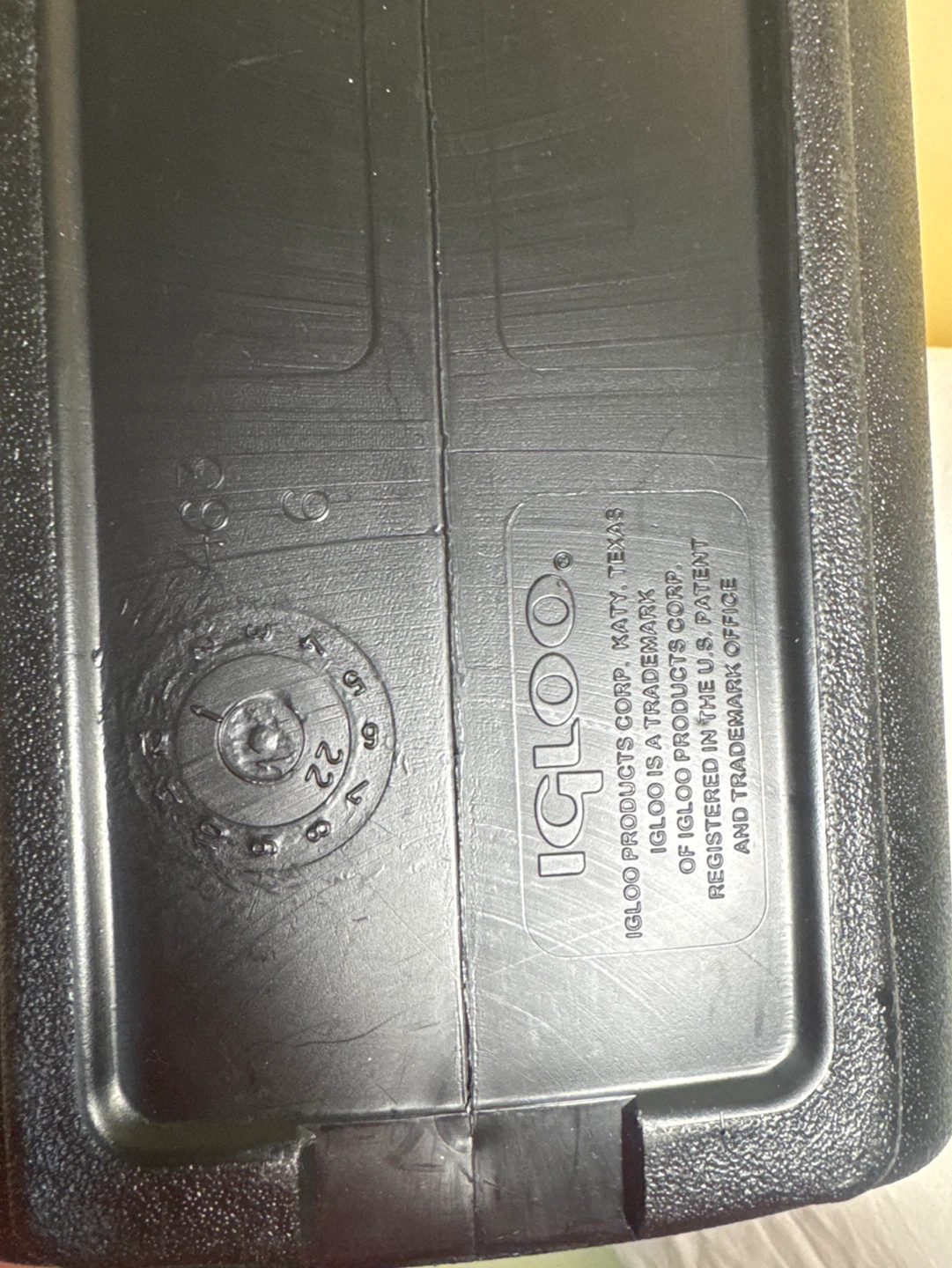 Labcorp Cooler Bag - photo 3