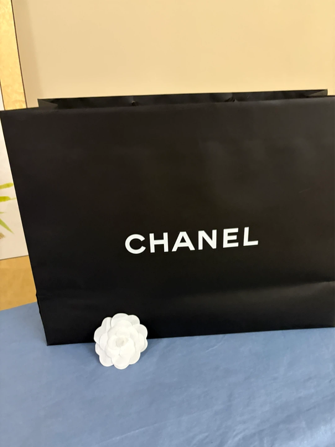 Chanel Shopping Bag - photo 2