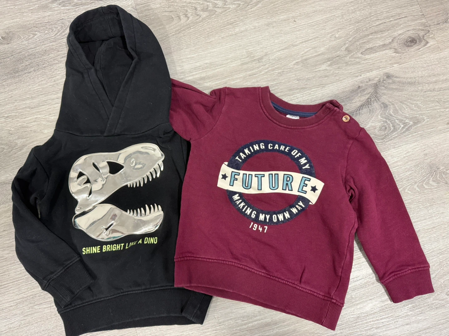 H&M Hoodie and Sweater Set 2T
