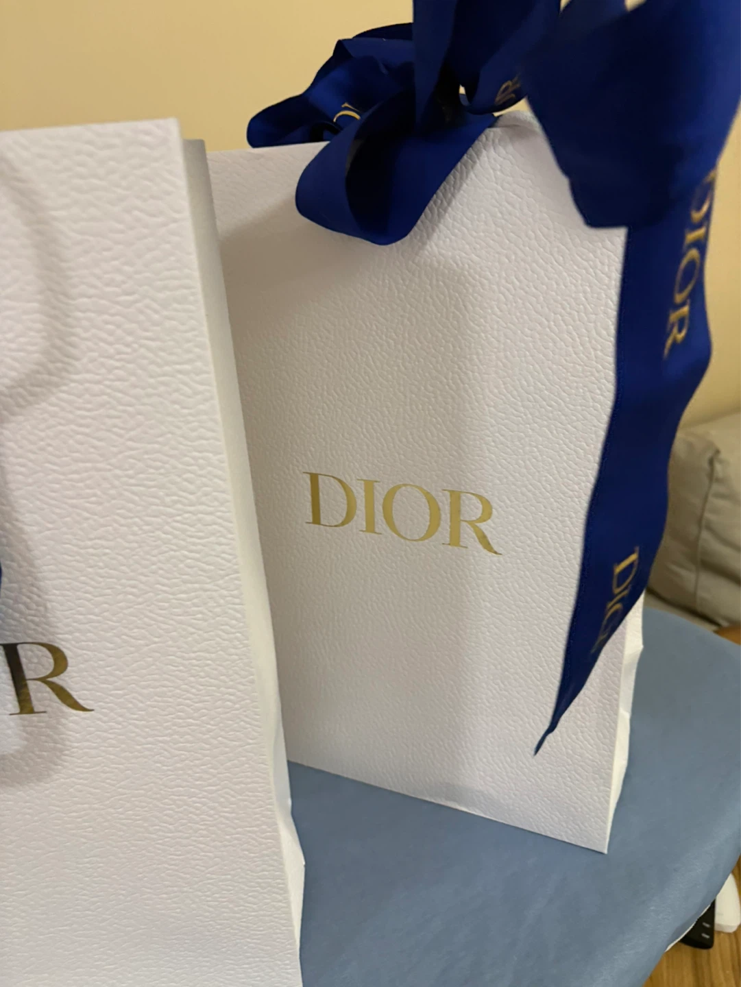 Dior Shopping Bags with Ribbon - photo 2
