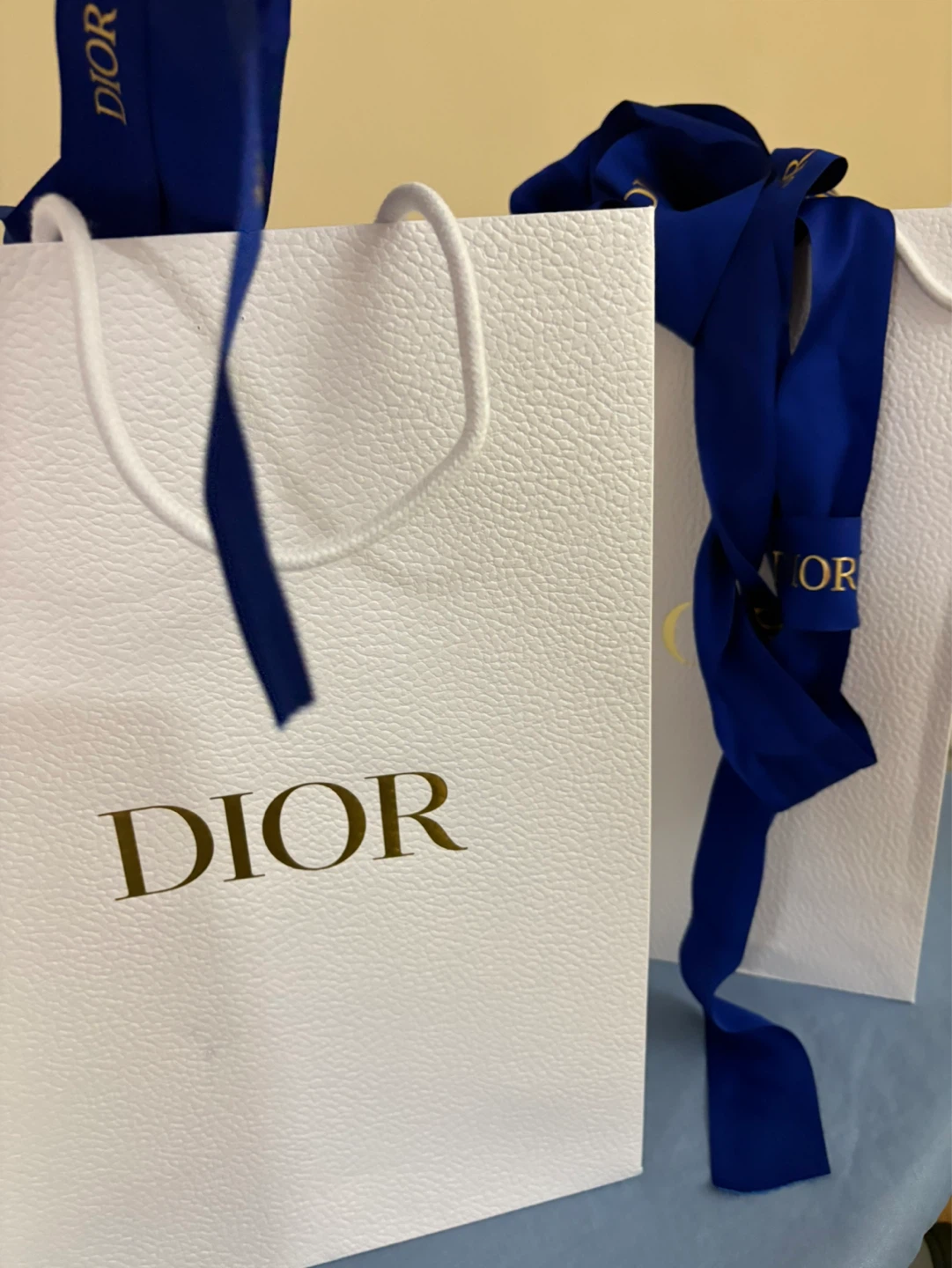 Dior Shopping Bags with Ribbon