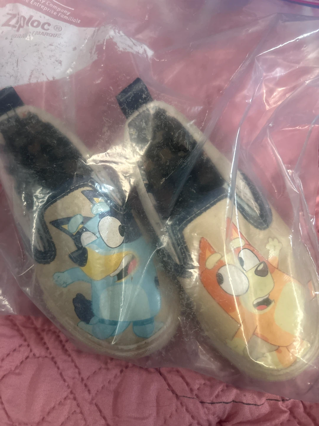 Bluey and Bingo Slip-On Shoes