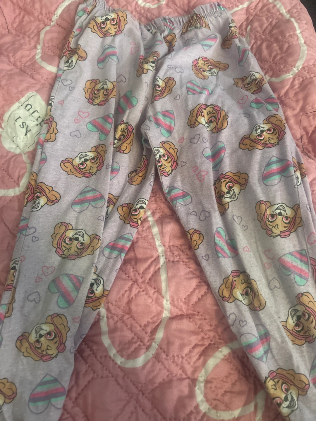 Paw Patrol Skye Pajama Pants 4T