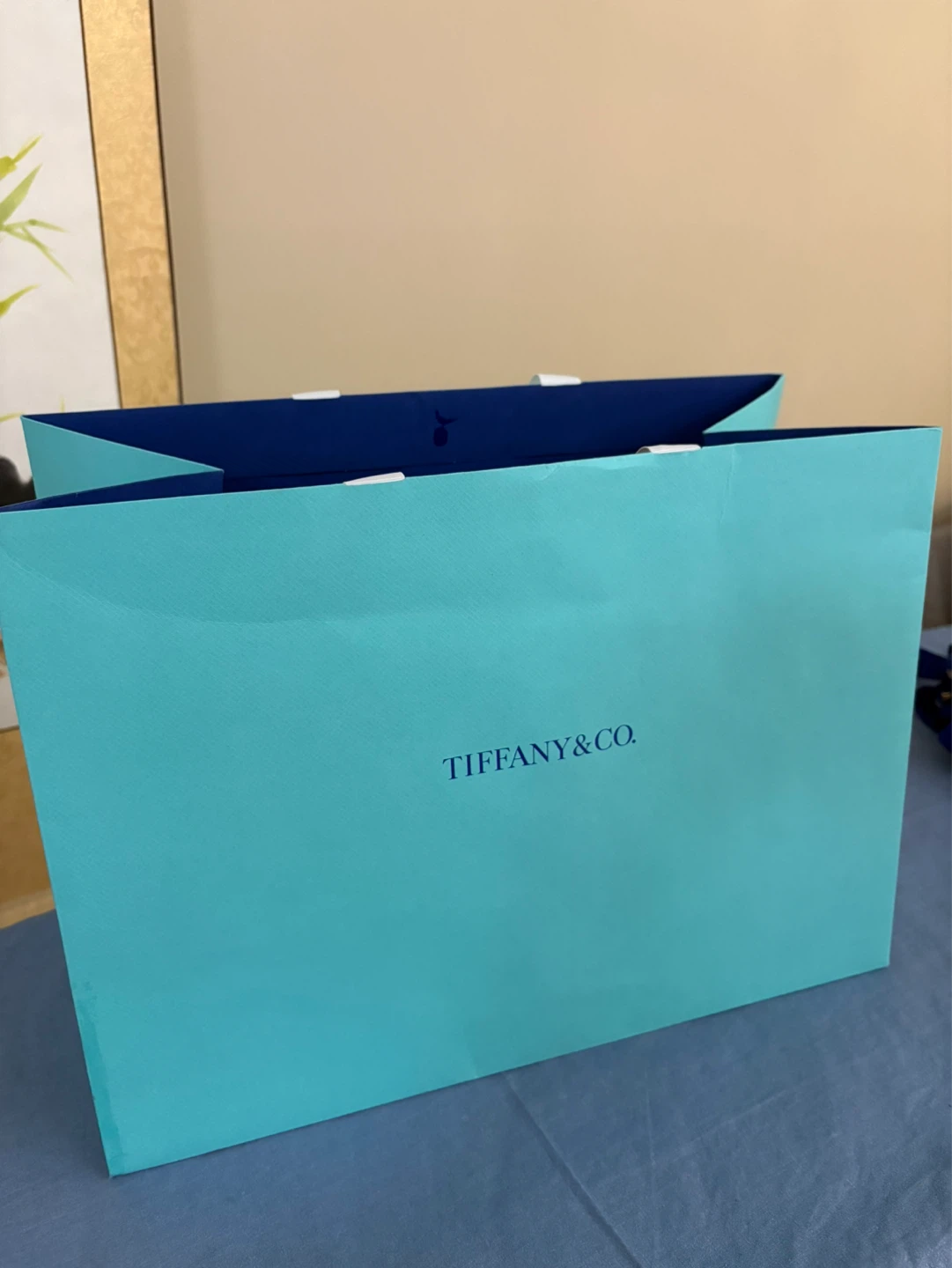Tiffany & Co. Shopping Bags