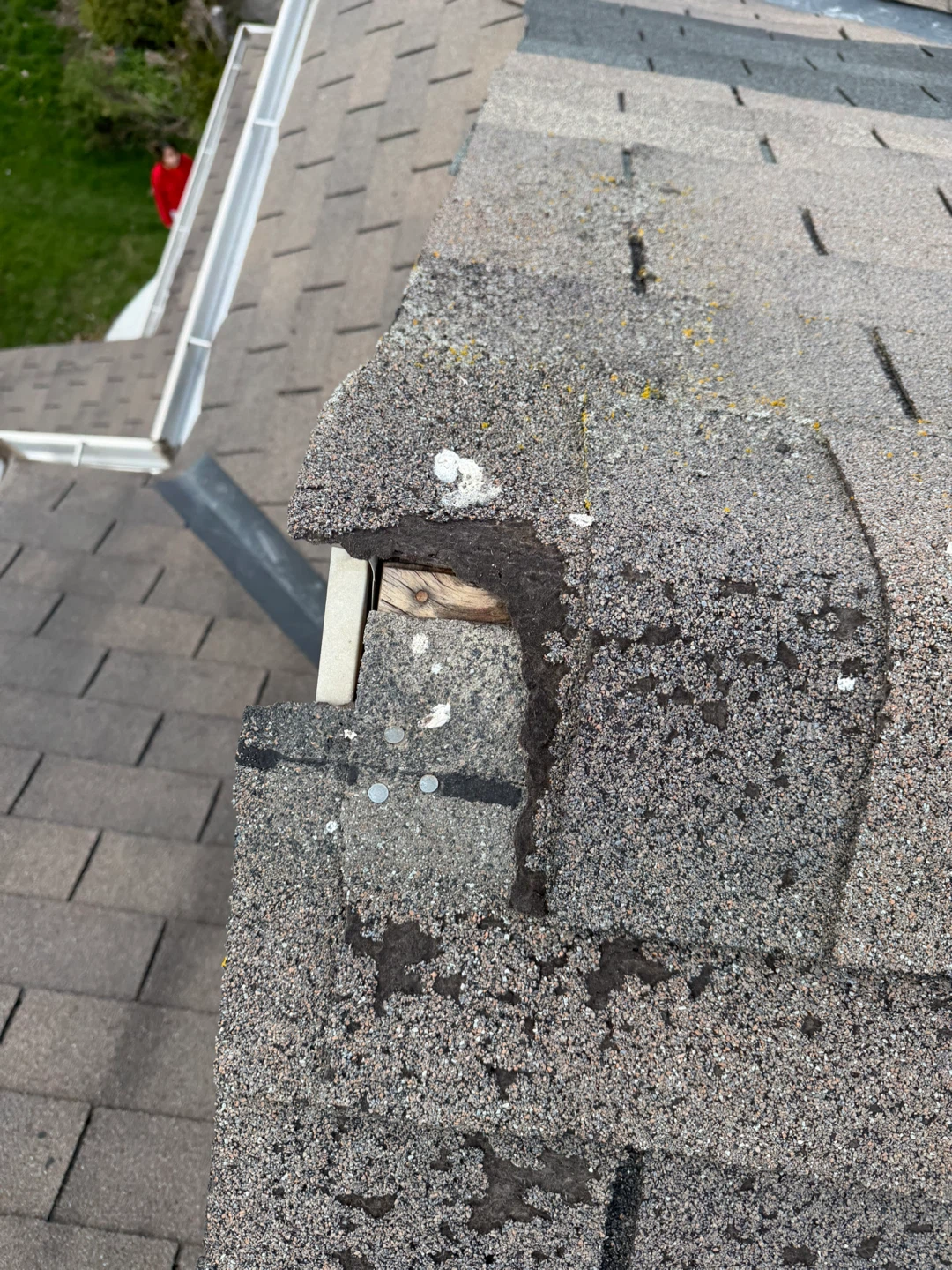 Roof repair roofing - photo 5