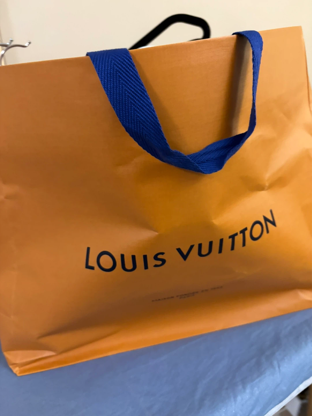 Assorted Coat Hangers in authentic LV shopping bag
