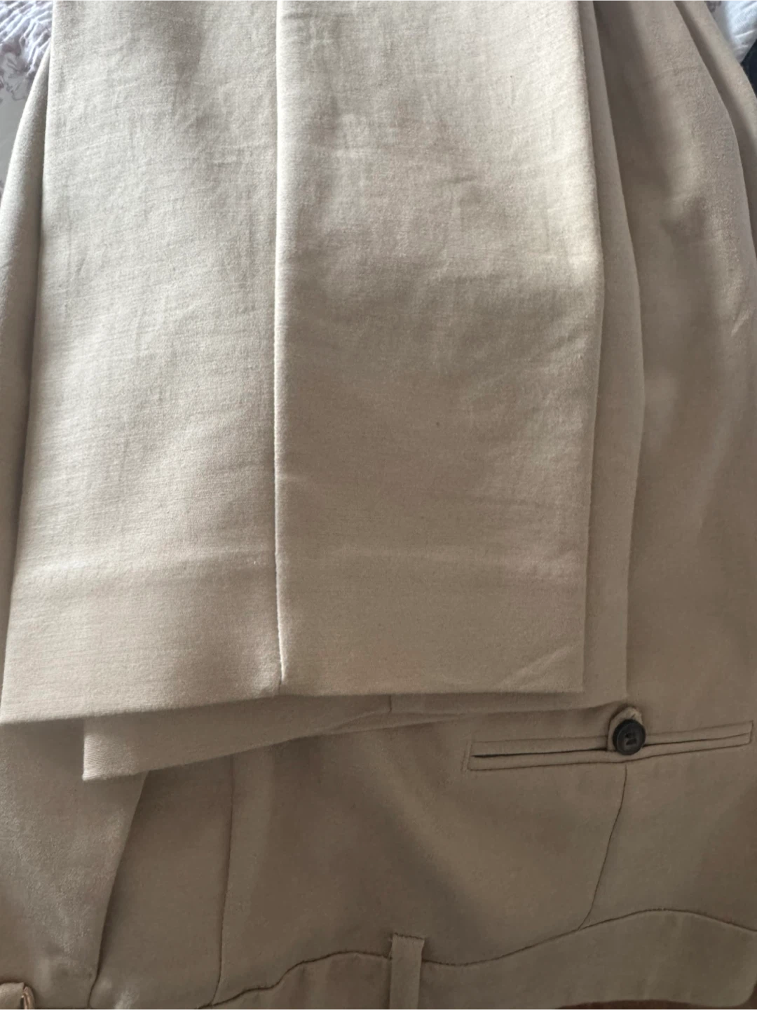 Zara Basic Collection Beige Trousers - EUR 42 / USA 10 / MEX 32