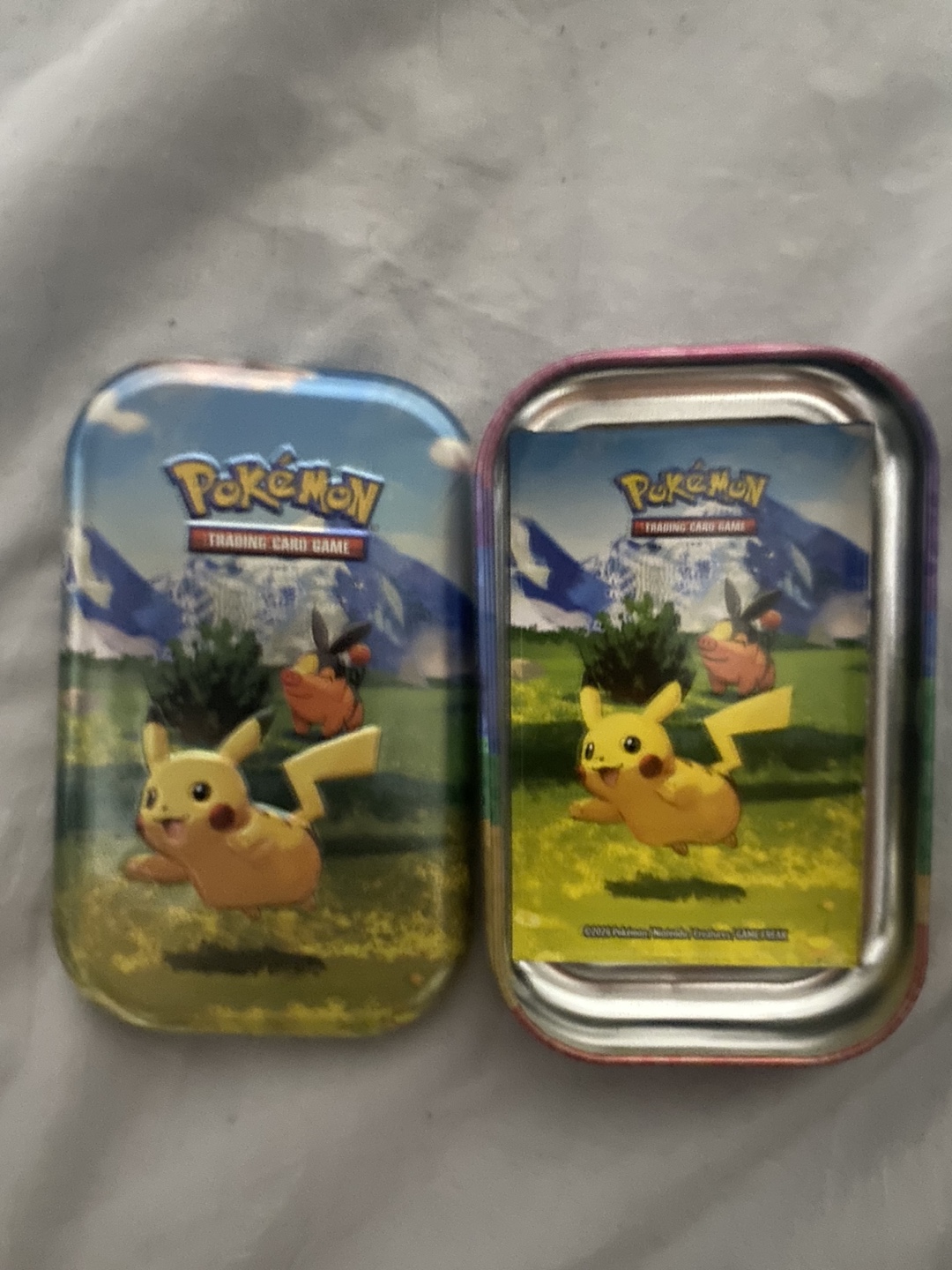 Pokemon Trading Card Game Tins (2-Pack)