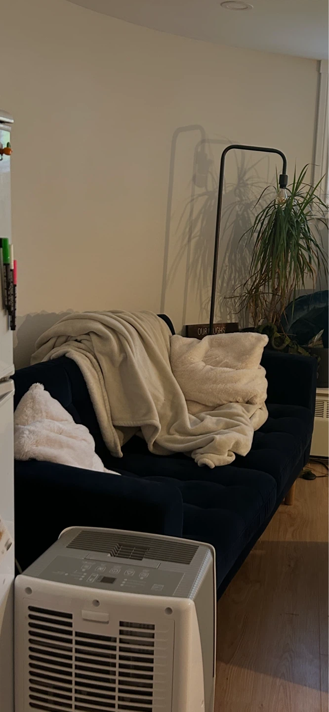 Ikea Morabo Couch - Love Seat