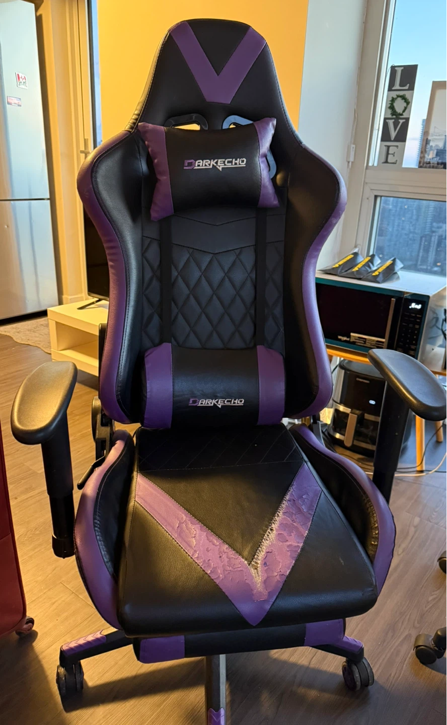 DARKecho Gaming Chair - Black & Purple