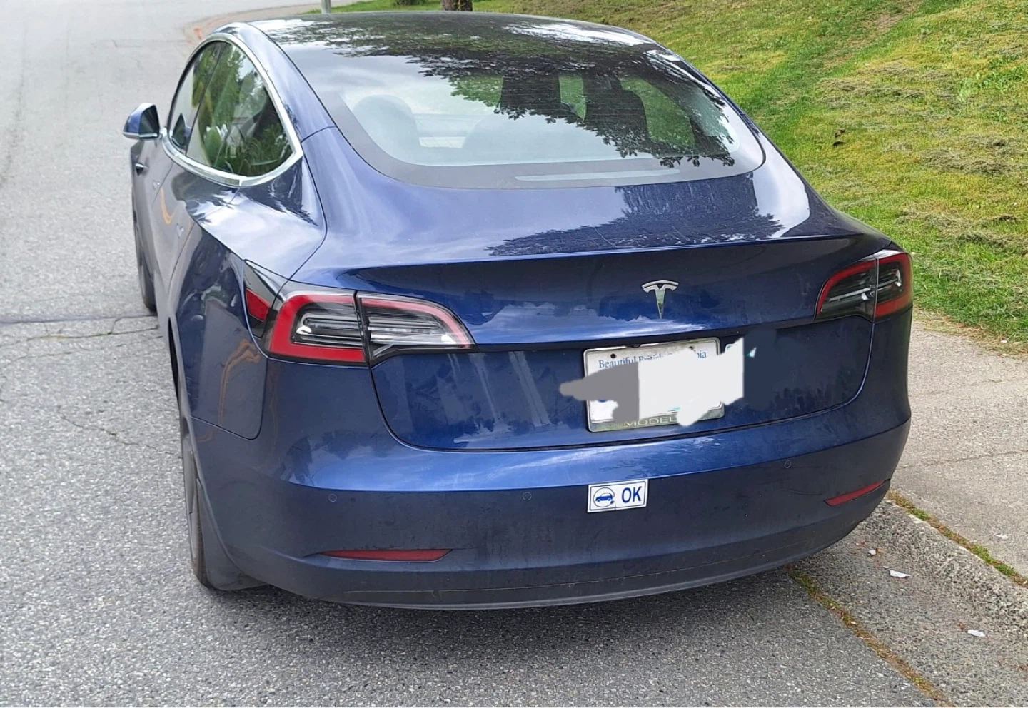 2019 Tesla Model 3 Standard Plus - Blue - photo 3