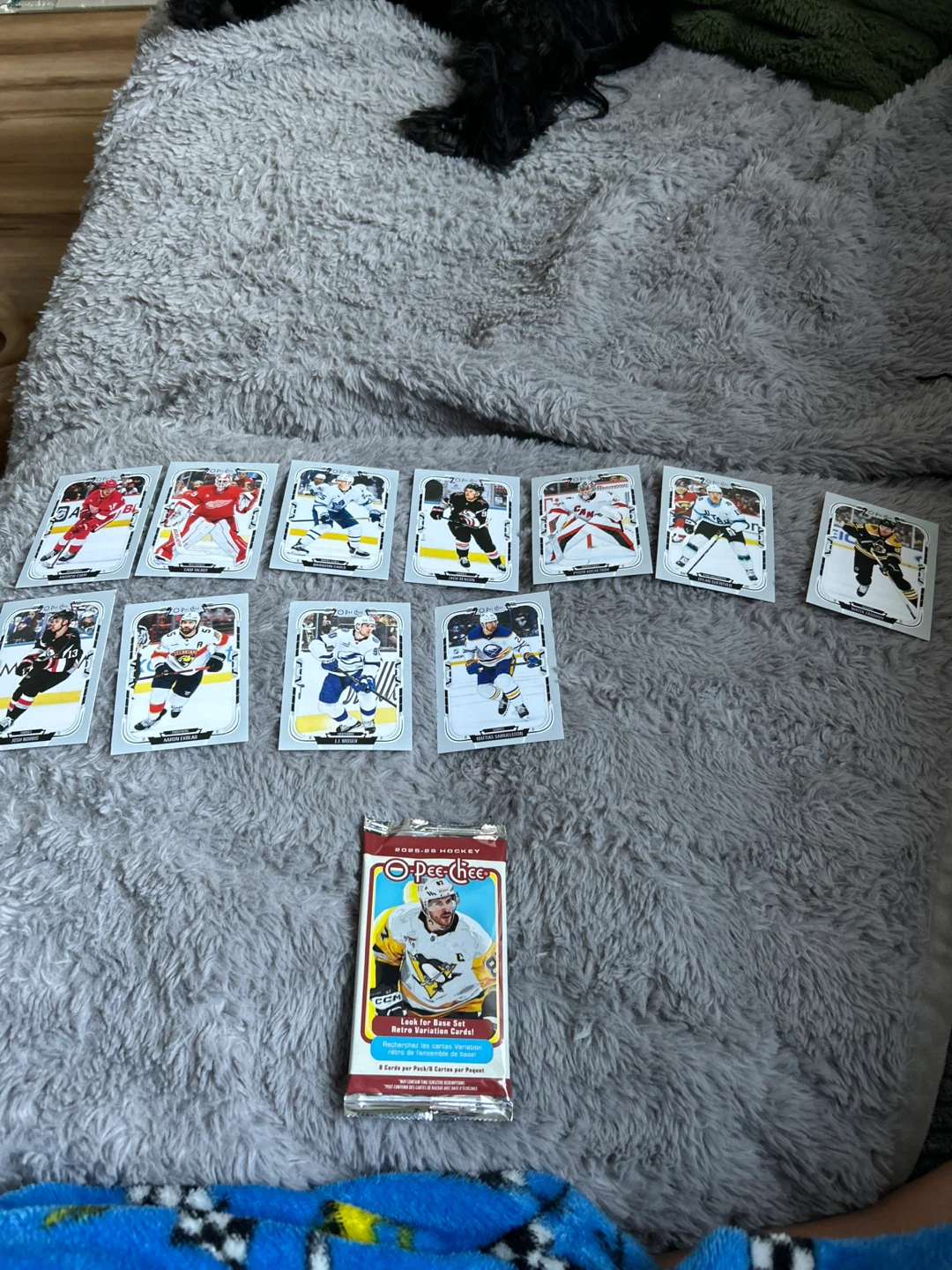 2025-26 Upper Deck OPC Hockey Cards and Pack - photo 3