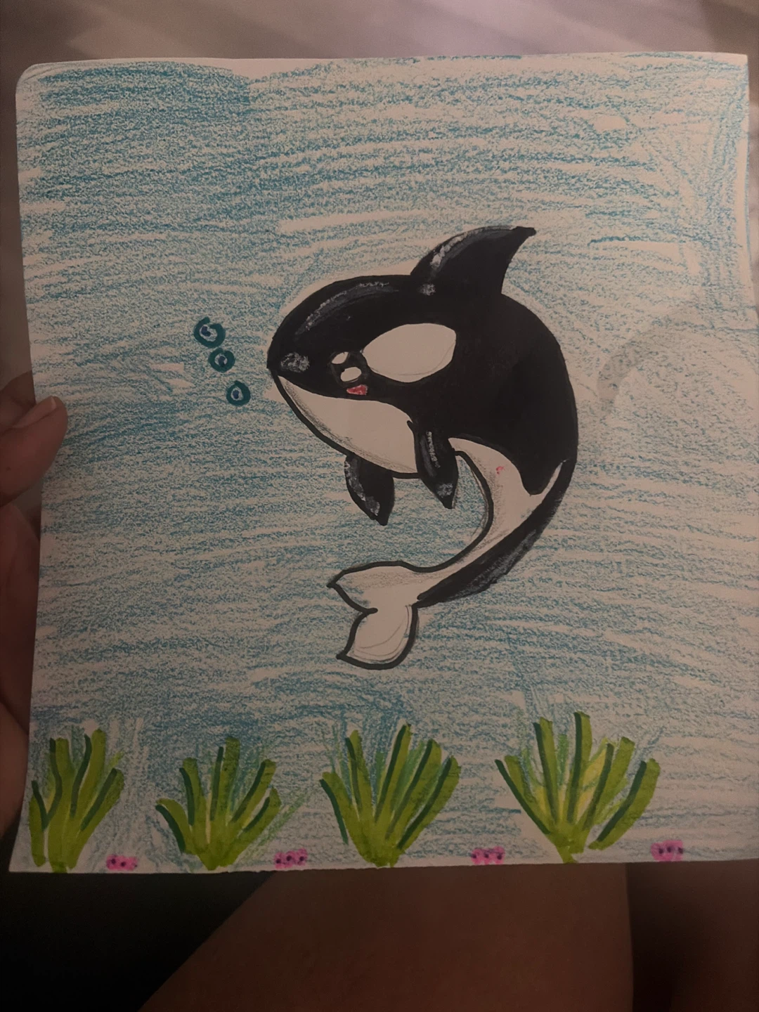 Hand-drawn Orca Killer Whale Art