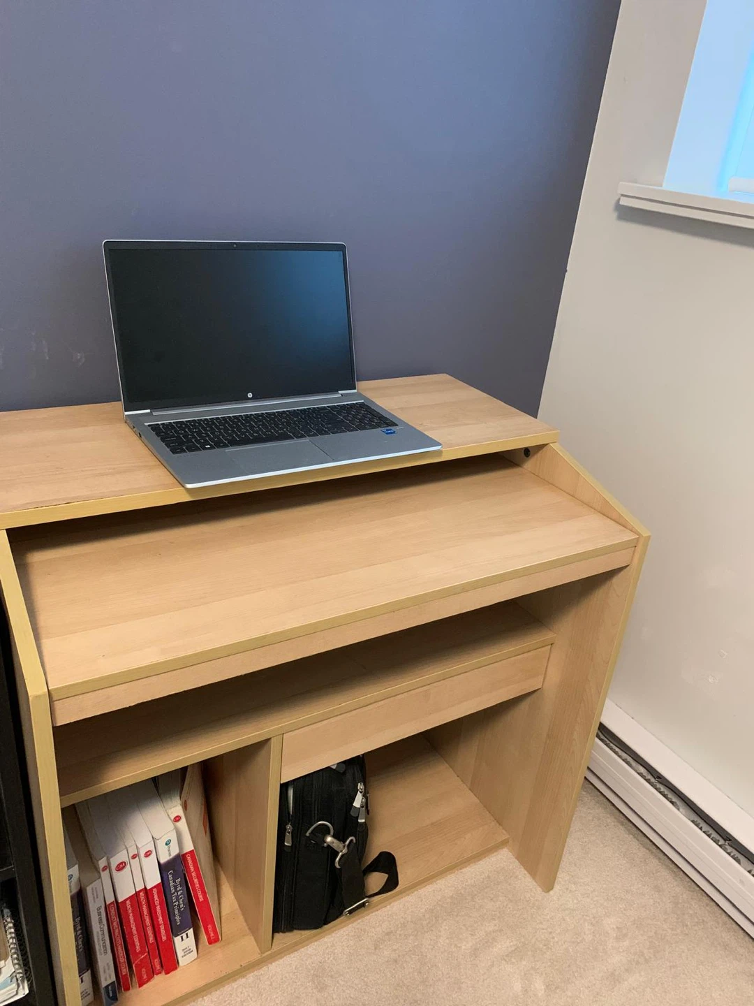 Computer Desk with Drawer and Shelves