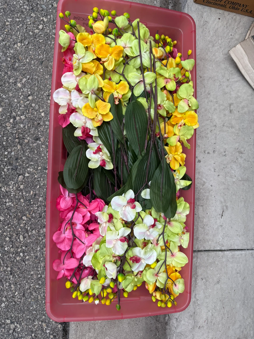 Artificial Orchid Stems - Pink, White, Yellow, Green