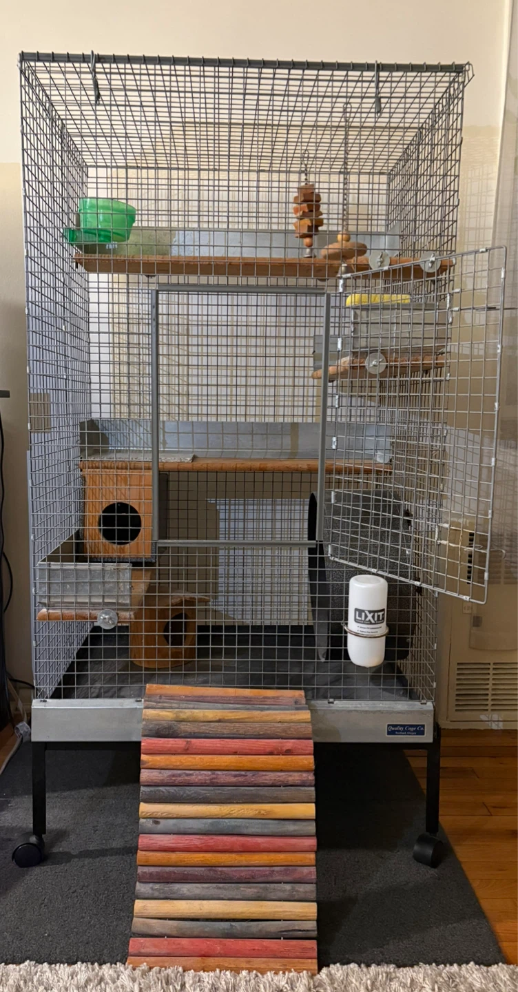 Chinchilla Pet Cage & Accessories Bundle