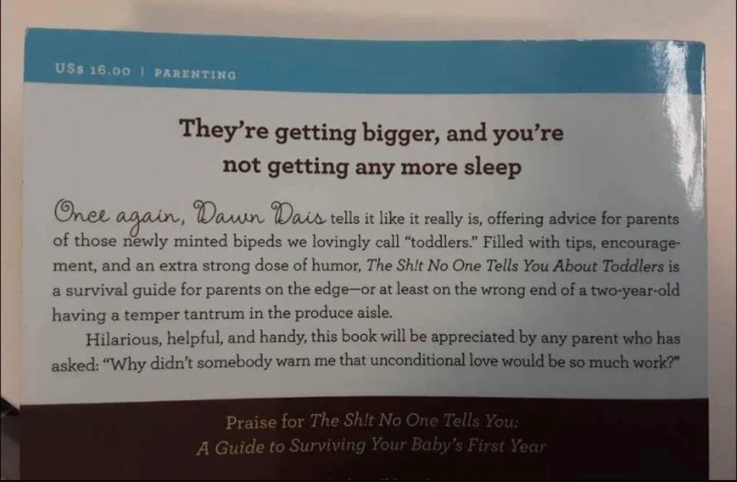 The Sh!t No One Tells You About Toddlers by Dawn Dais - photo 4