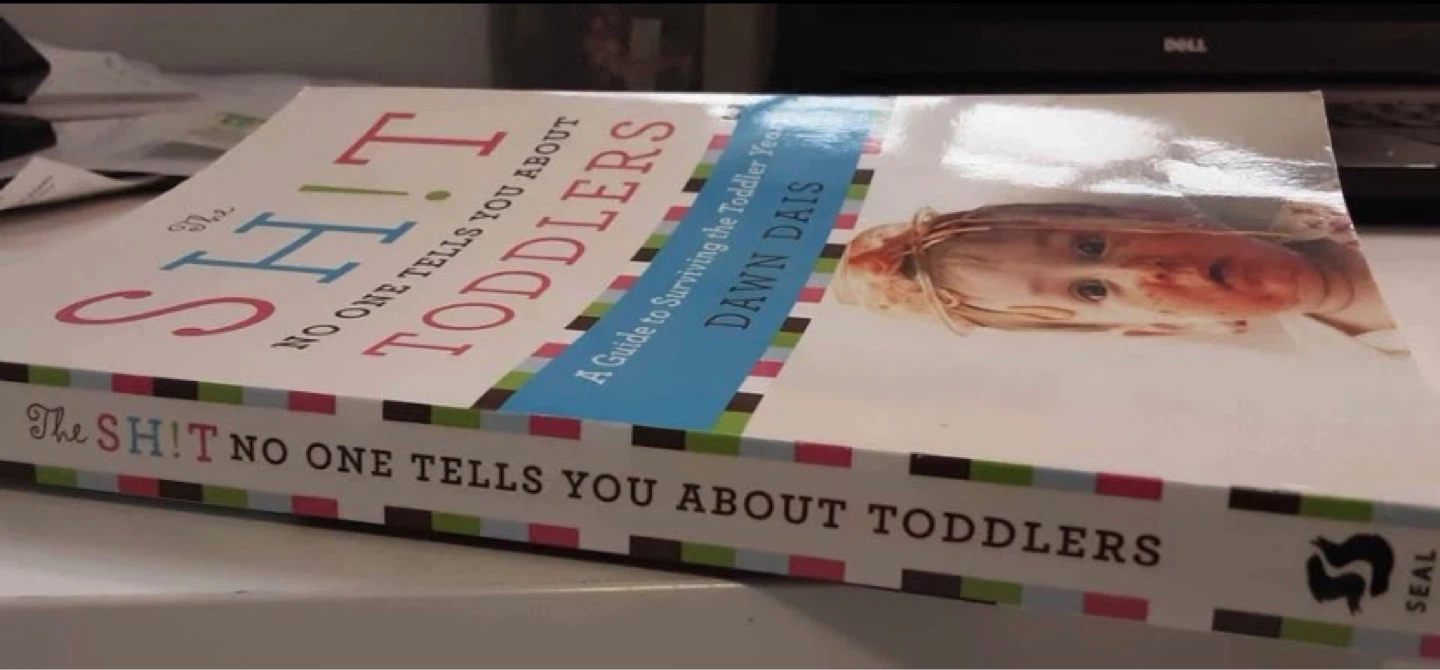 The Sh!t No One Tells You About Toddlers by Dawn Dais - photo 3