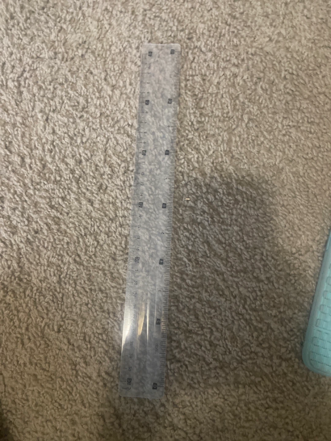 Clear Plastic Ruler