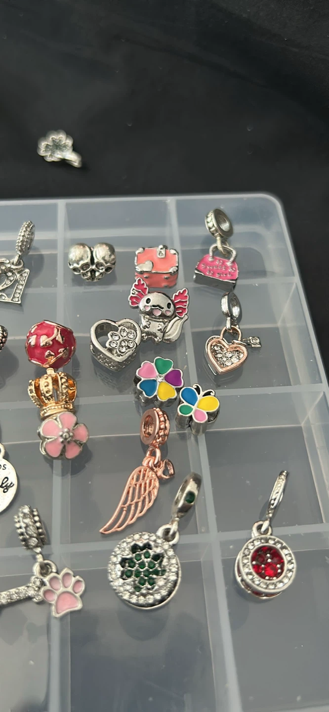 Charms (fits Pandora) - photo 2