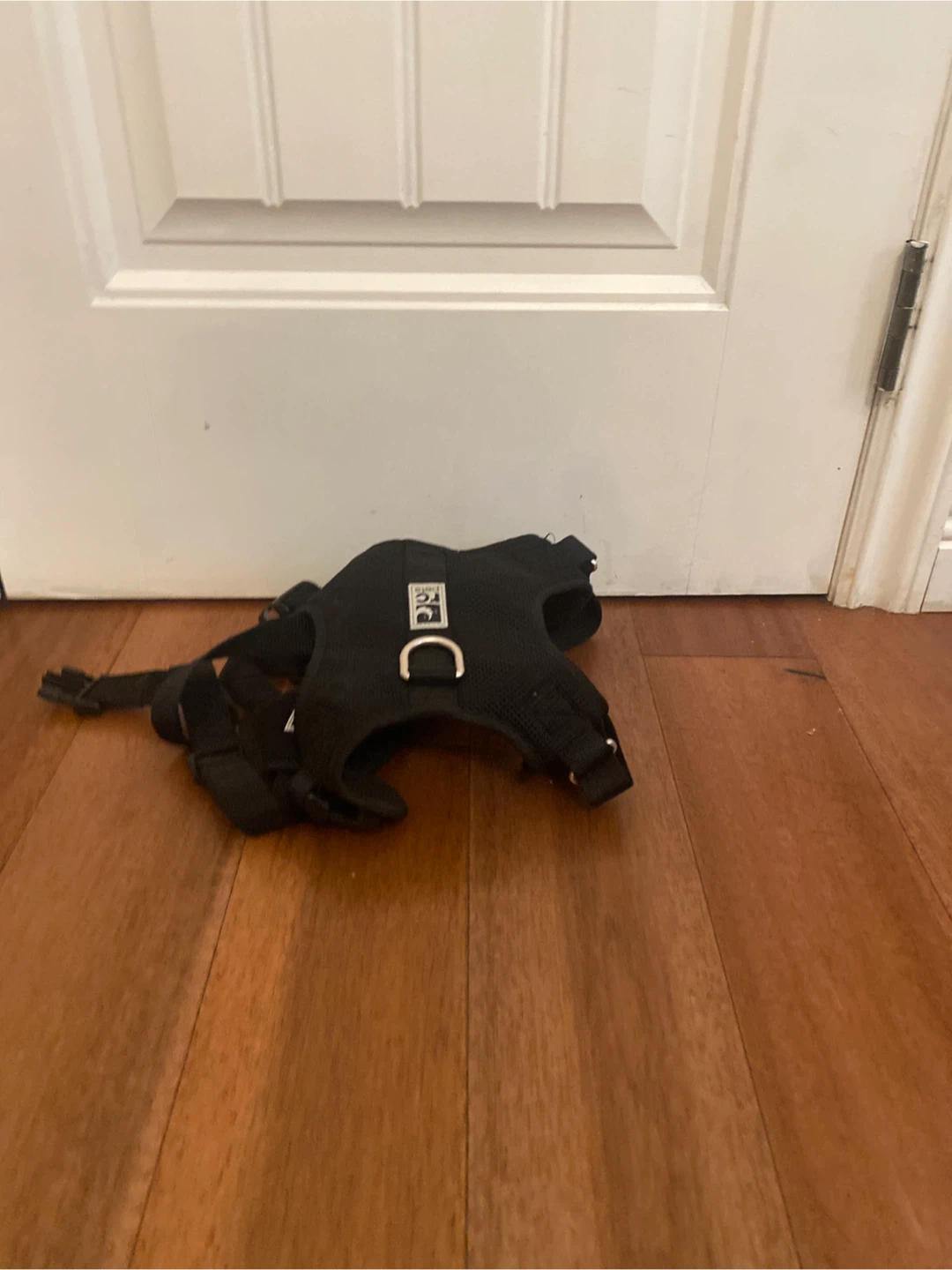 Black Dog Harness - Size Medium - photo 2