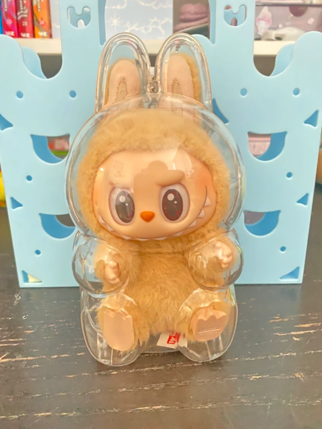 Labubu with a case