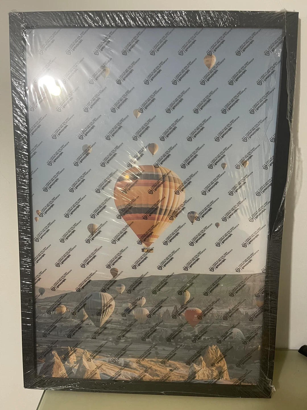 Framed Hot Air Balloon Poster