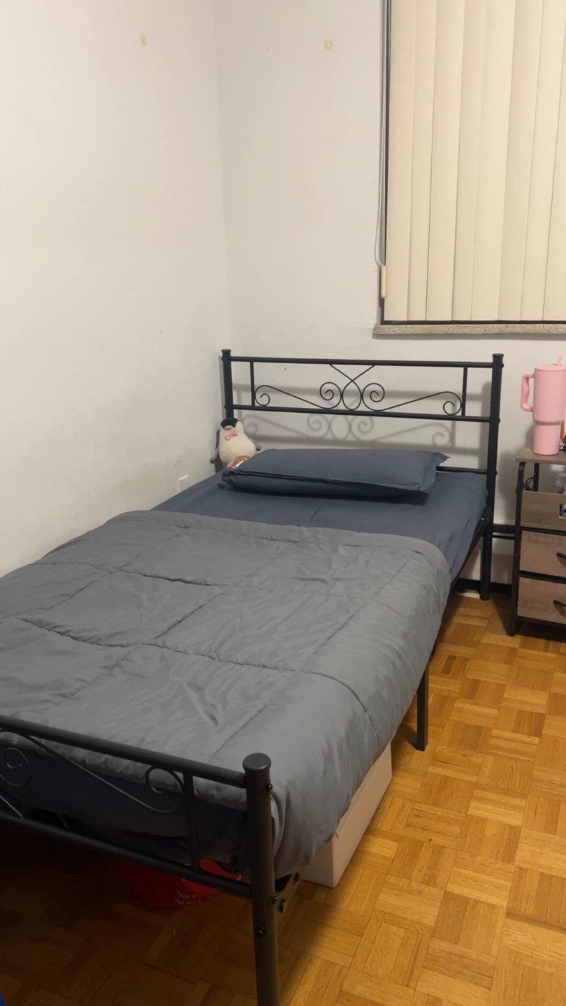 Twin Size Black Metal Bed Frame