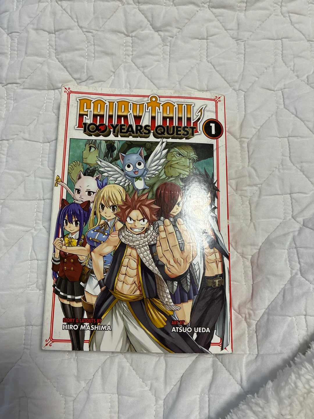 Fairy Tail 100 Years Quest Volume 1 Manga