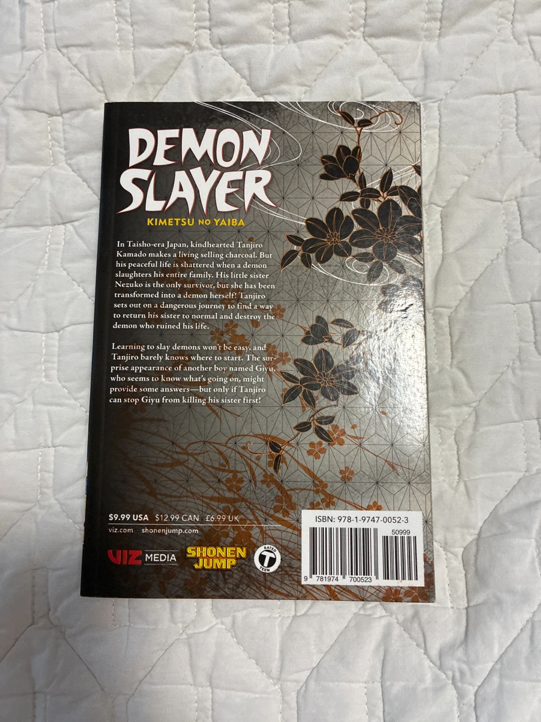 Demon Slayer: Kimetsu no Yaiba Vol. 1 Manga - photo 2