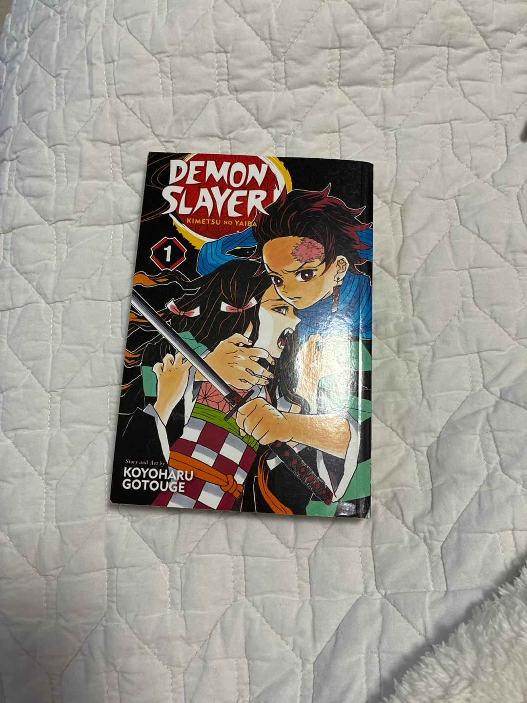Demon Slayer: Kimetsu no Yaiba Vol. 1 Manga