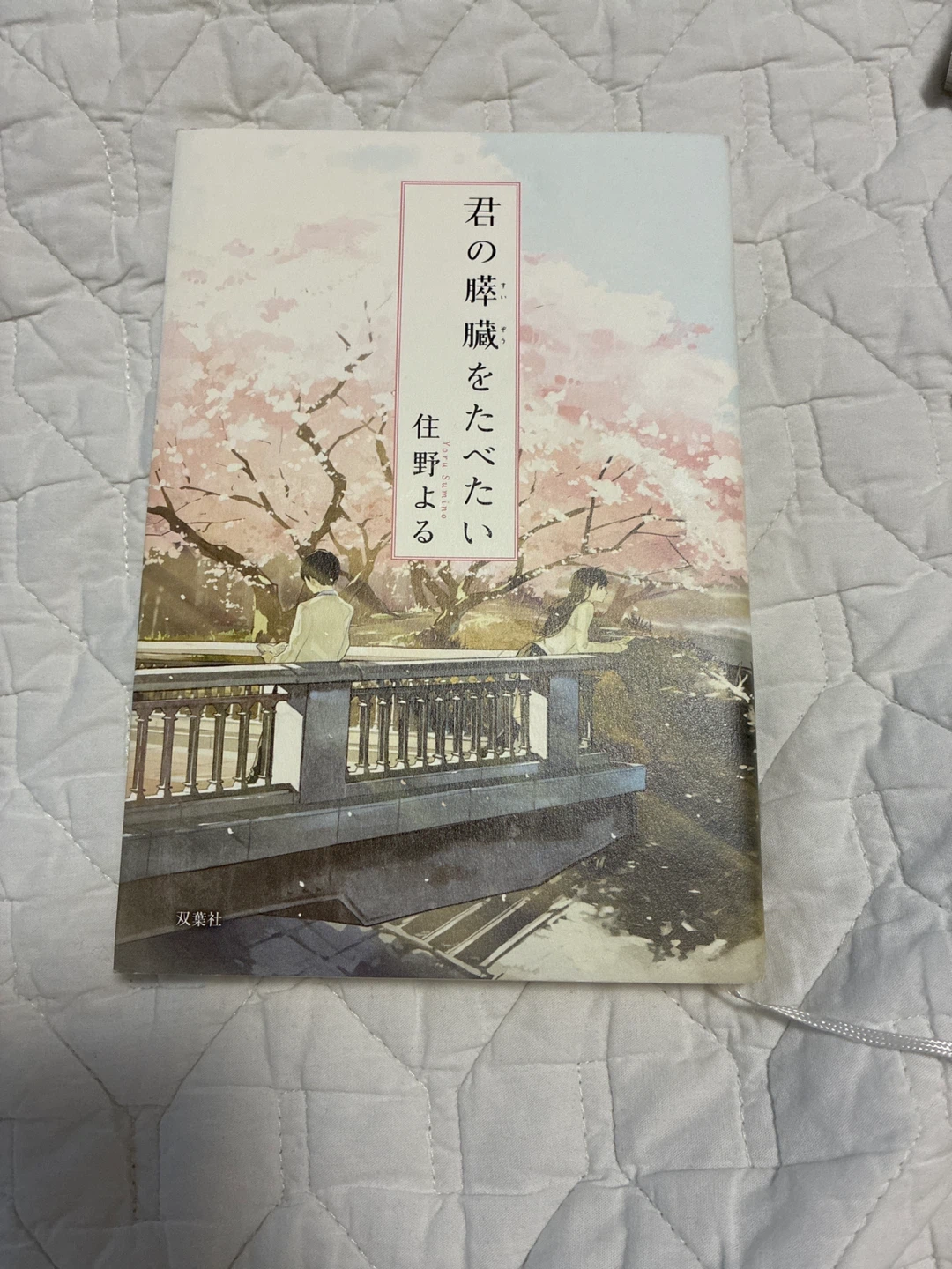 I want to eat your pancreas (Novel)