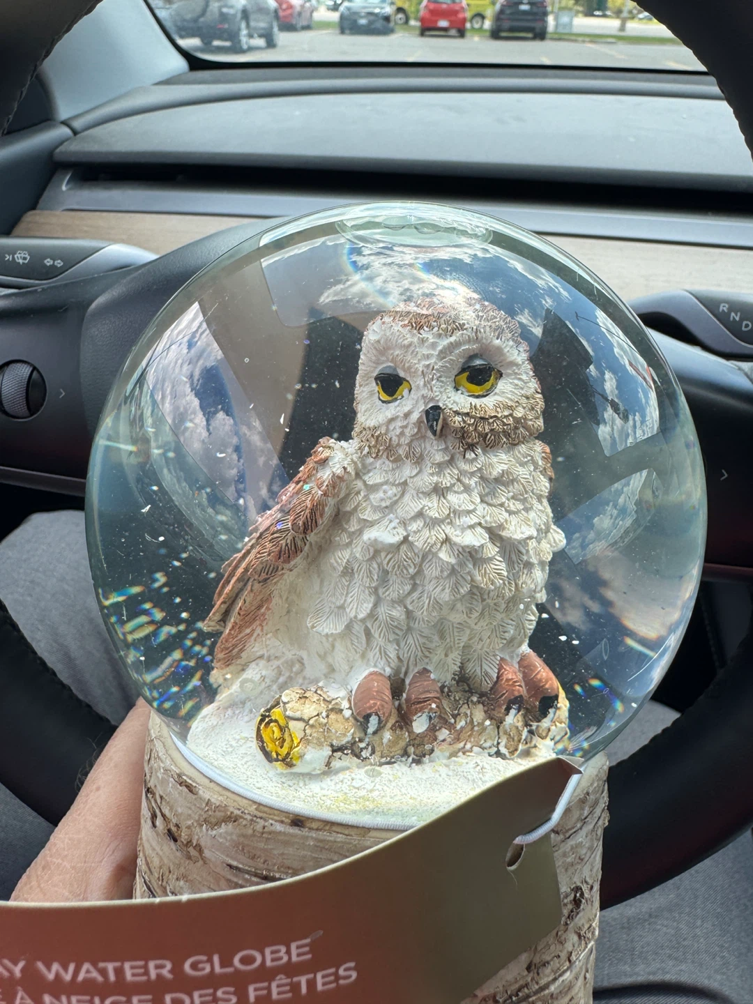 Holiday Owl Water Globe