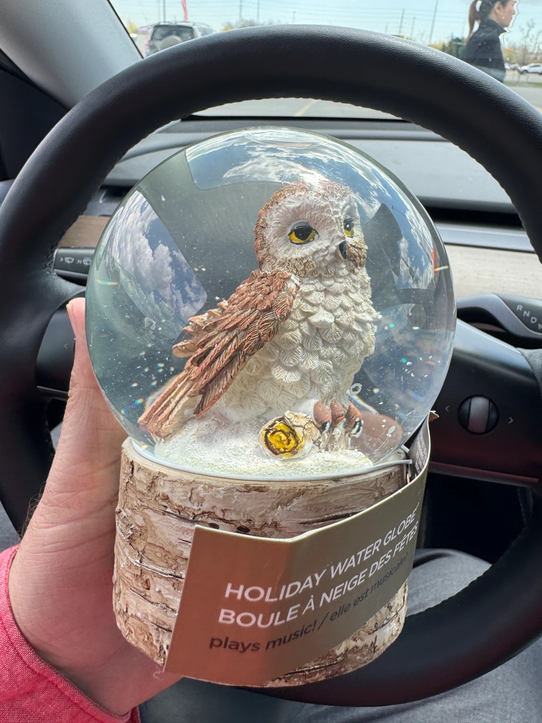 Holiday Owl Water Globe - photo 2