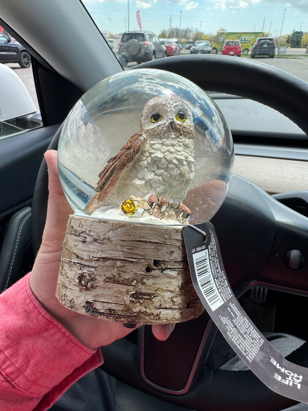 Holiday Owl Water Globe - photo 3