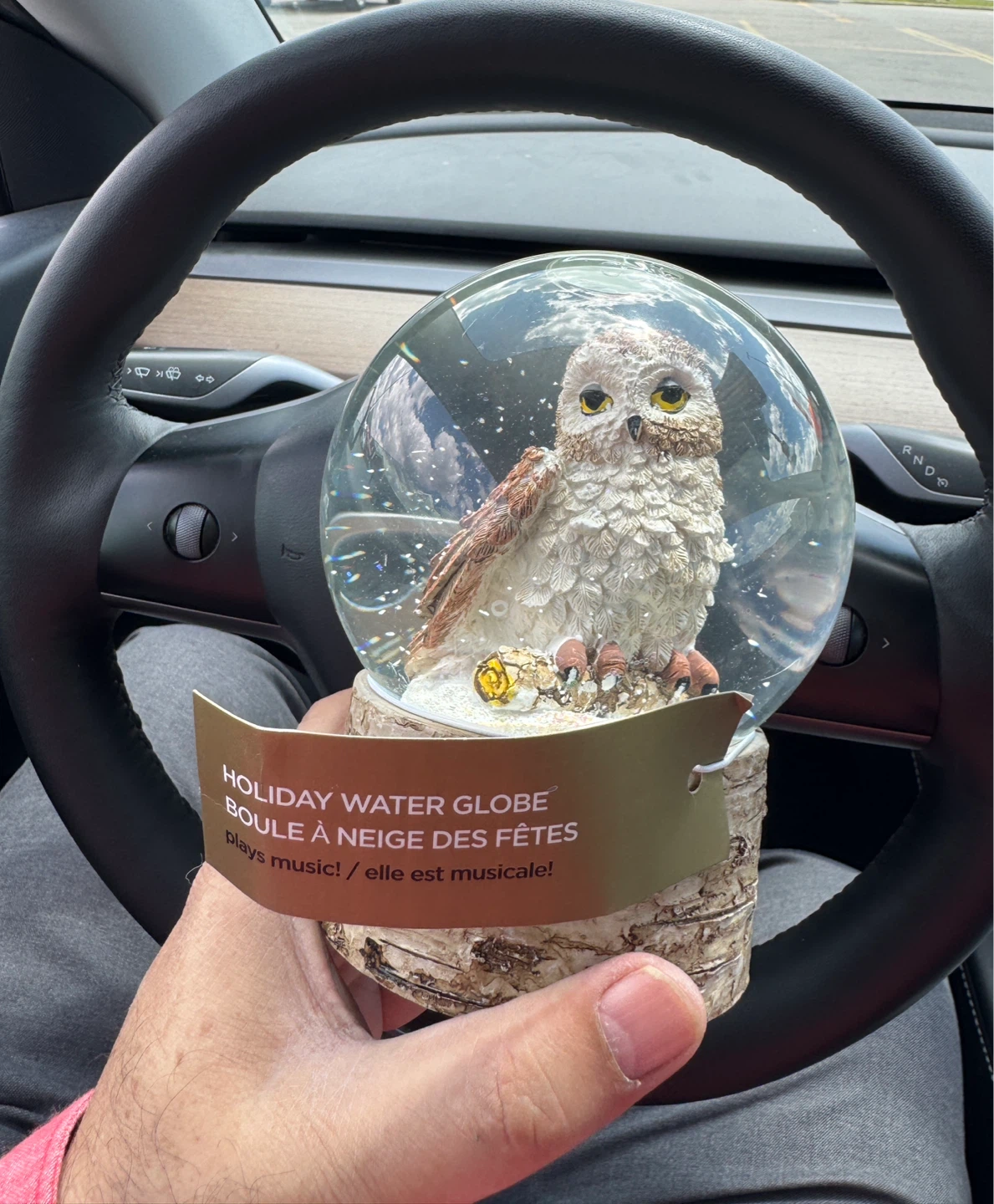 Holiday Owl Water Globe - photo 4