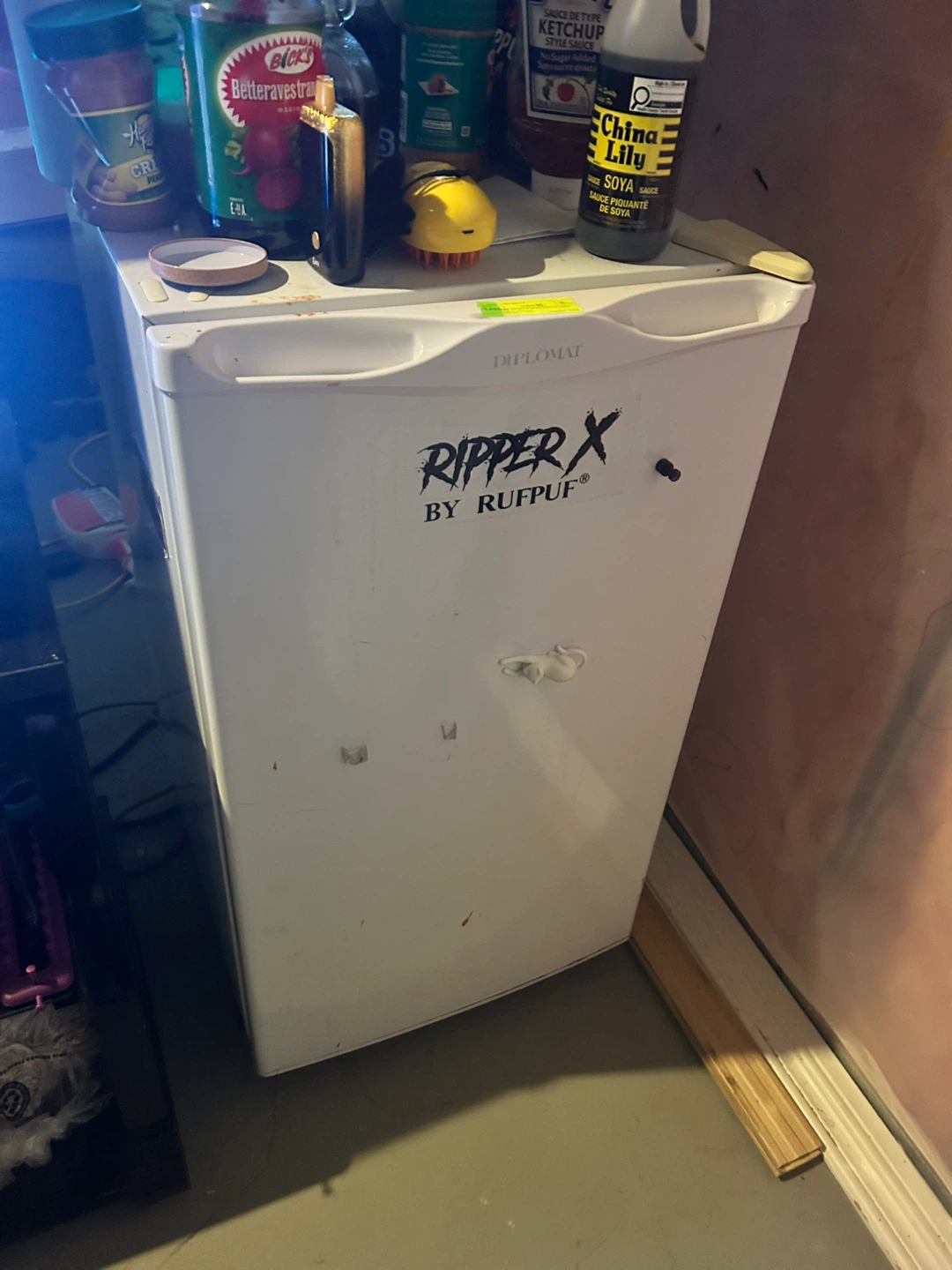 Mini Fridge