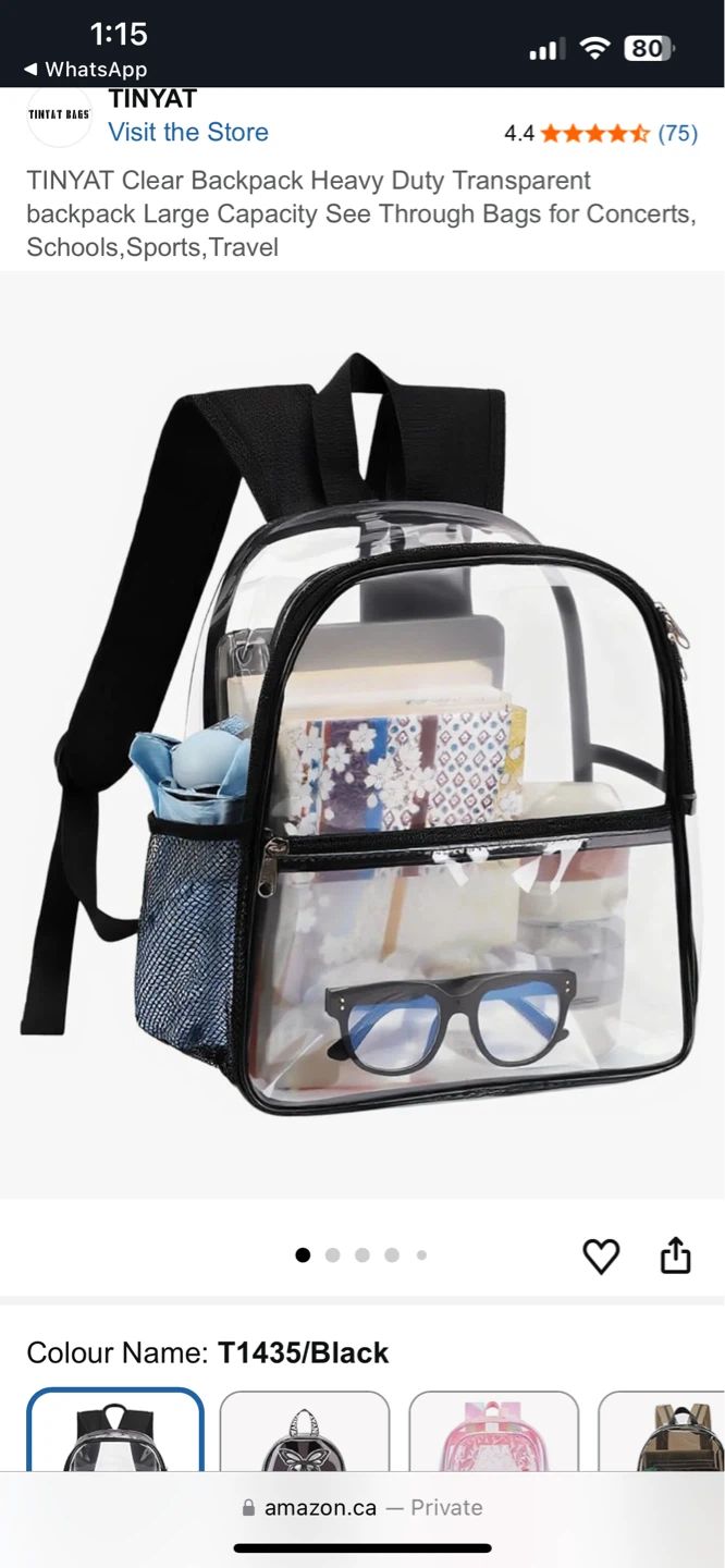 Clear Backpack