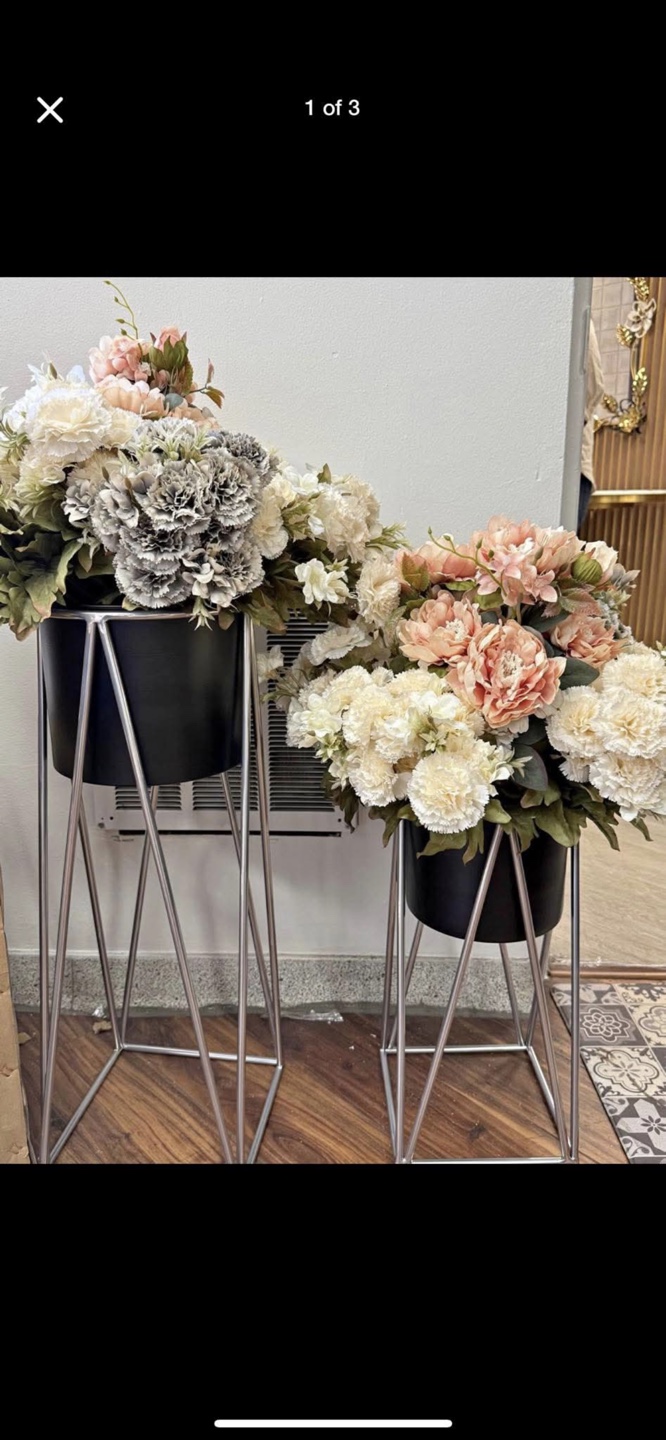 Set of 2 Planter with Black Metal Stands and pot