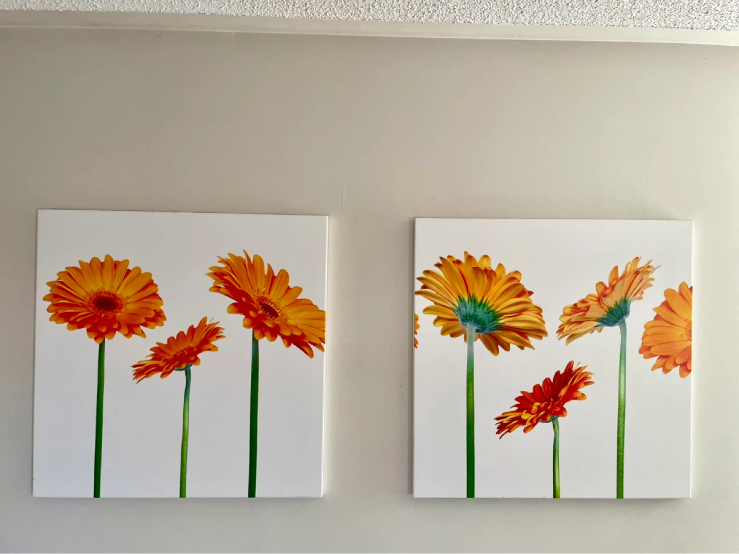 Wal Art set of 2
