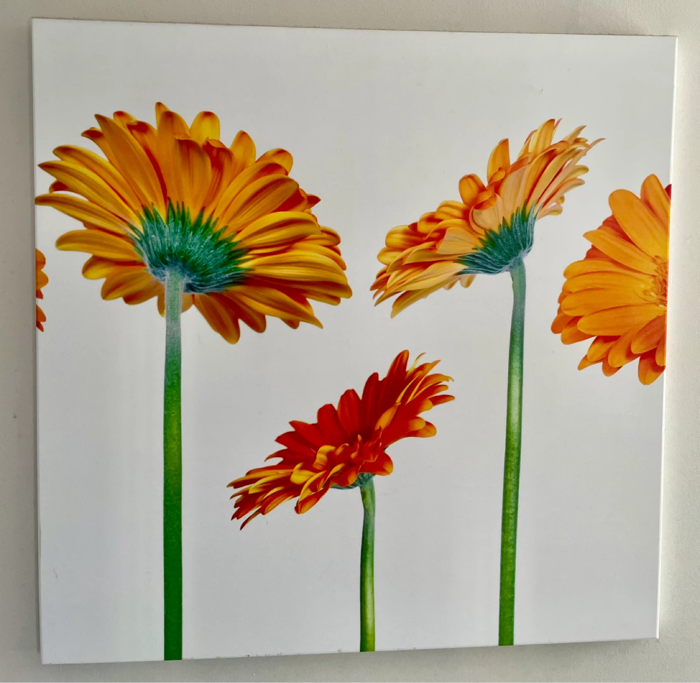 Wal Art set of 2 - photo 3