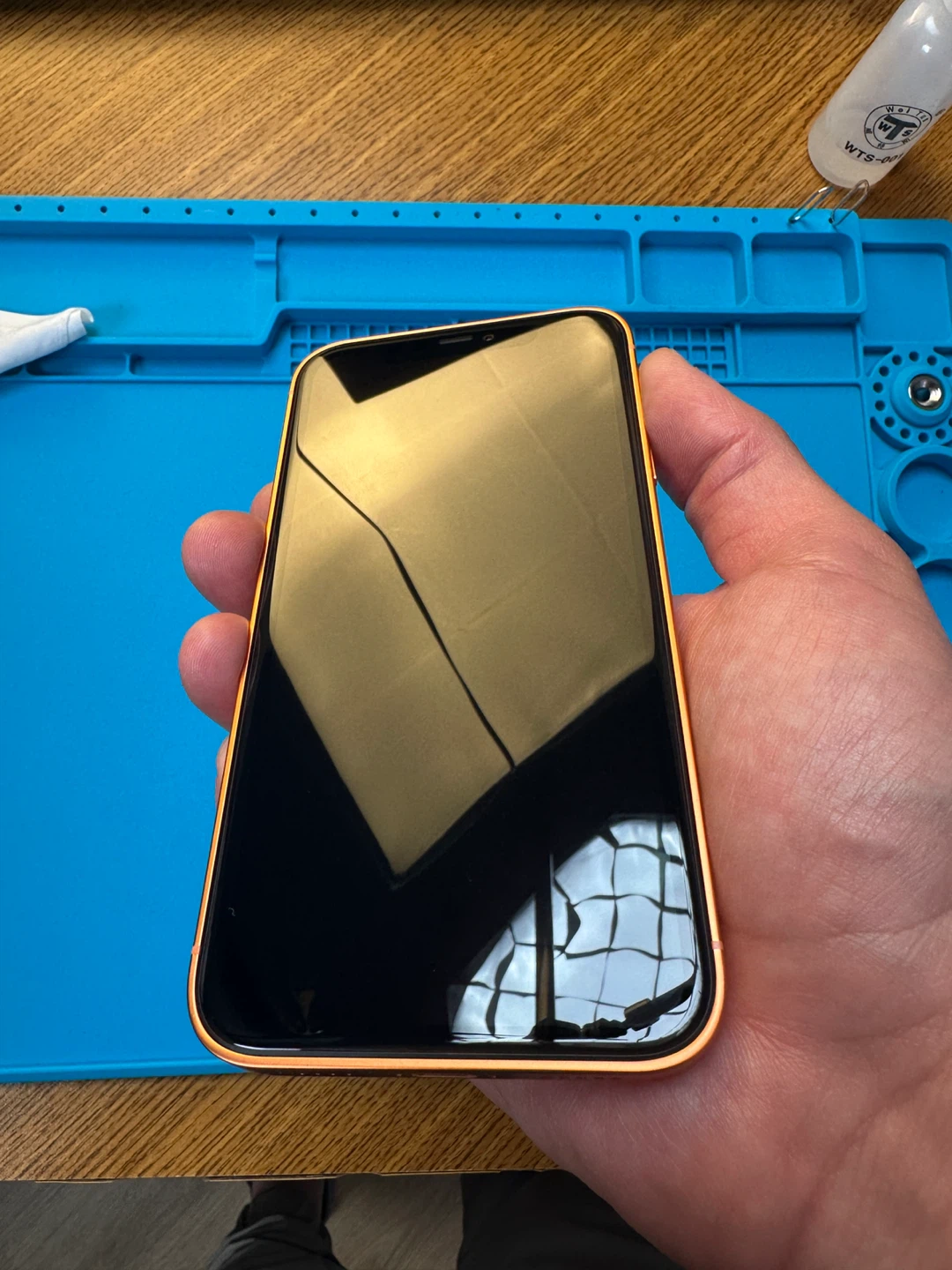 Apple iPhone 11 - %100 Battery Health - photo 3