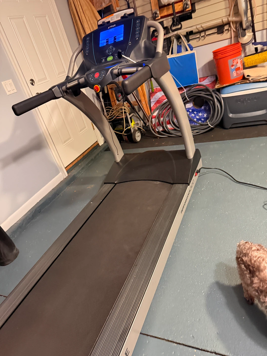 TRUE Performance 300 Treadmill