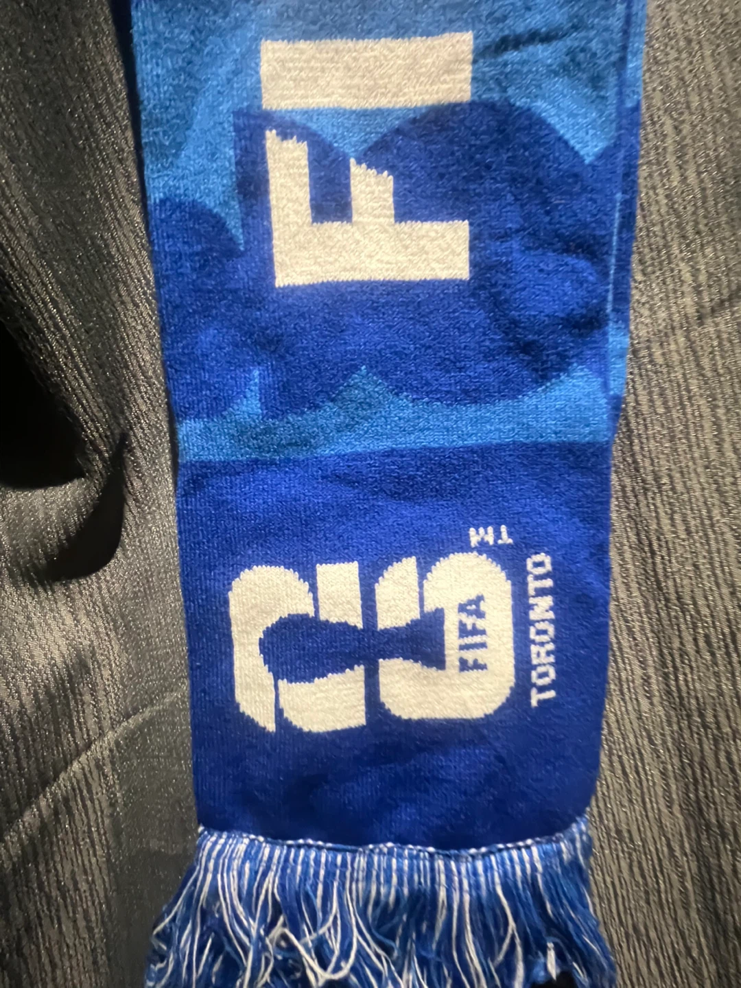 FIFA World Cup Scarf - Blue - photo 4