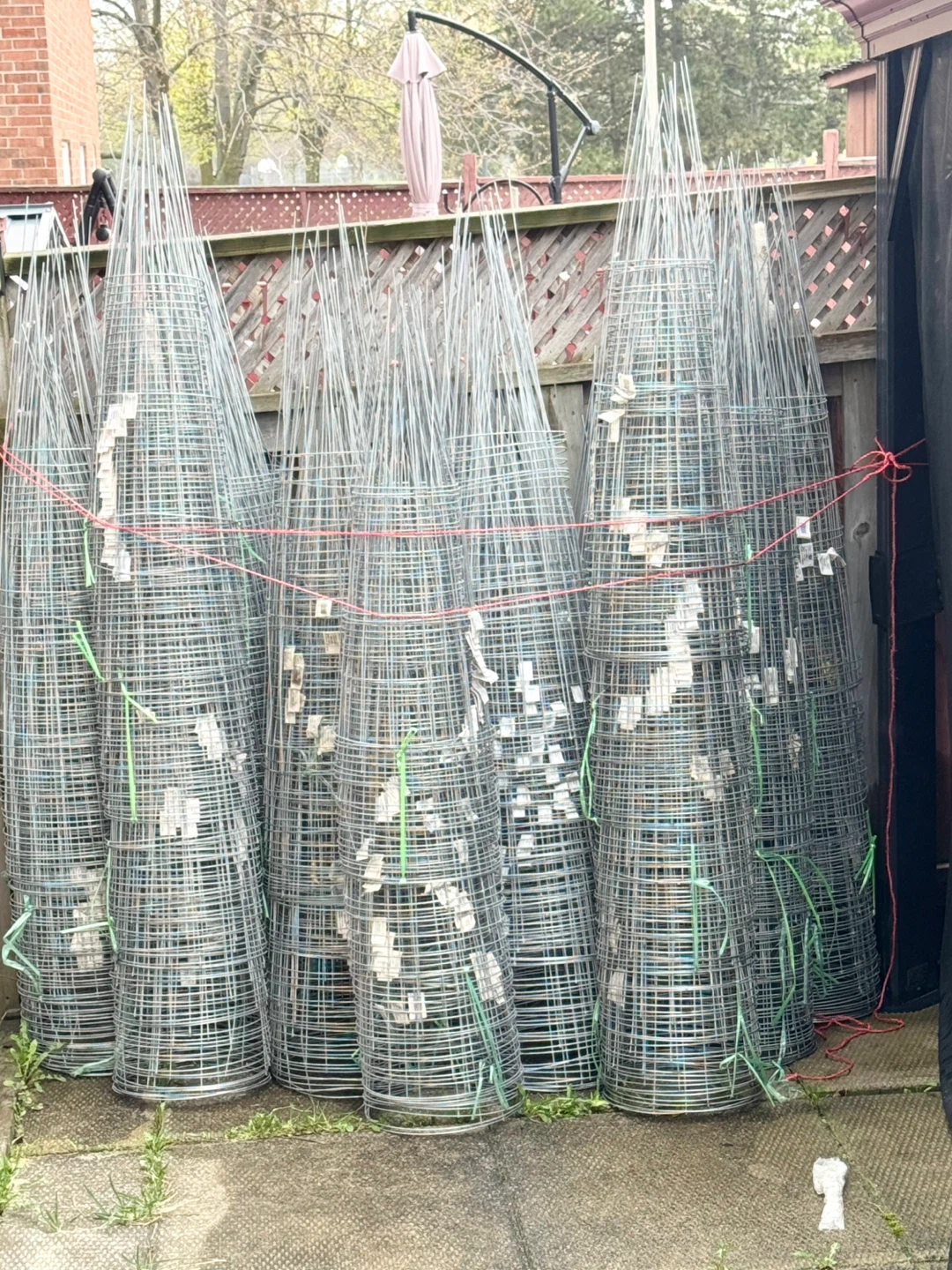 42” Galvanized Tomato Cages for sale