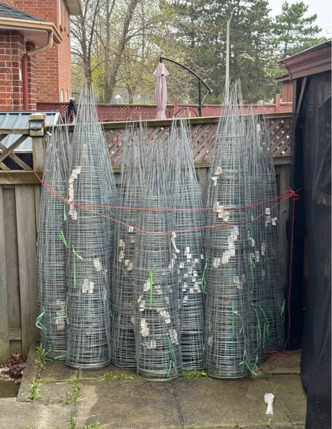 42” Galvanized Tomato Cages for sale - photo 3