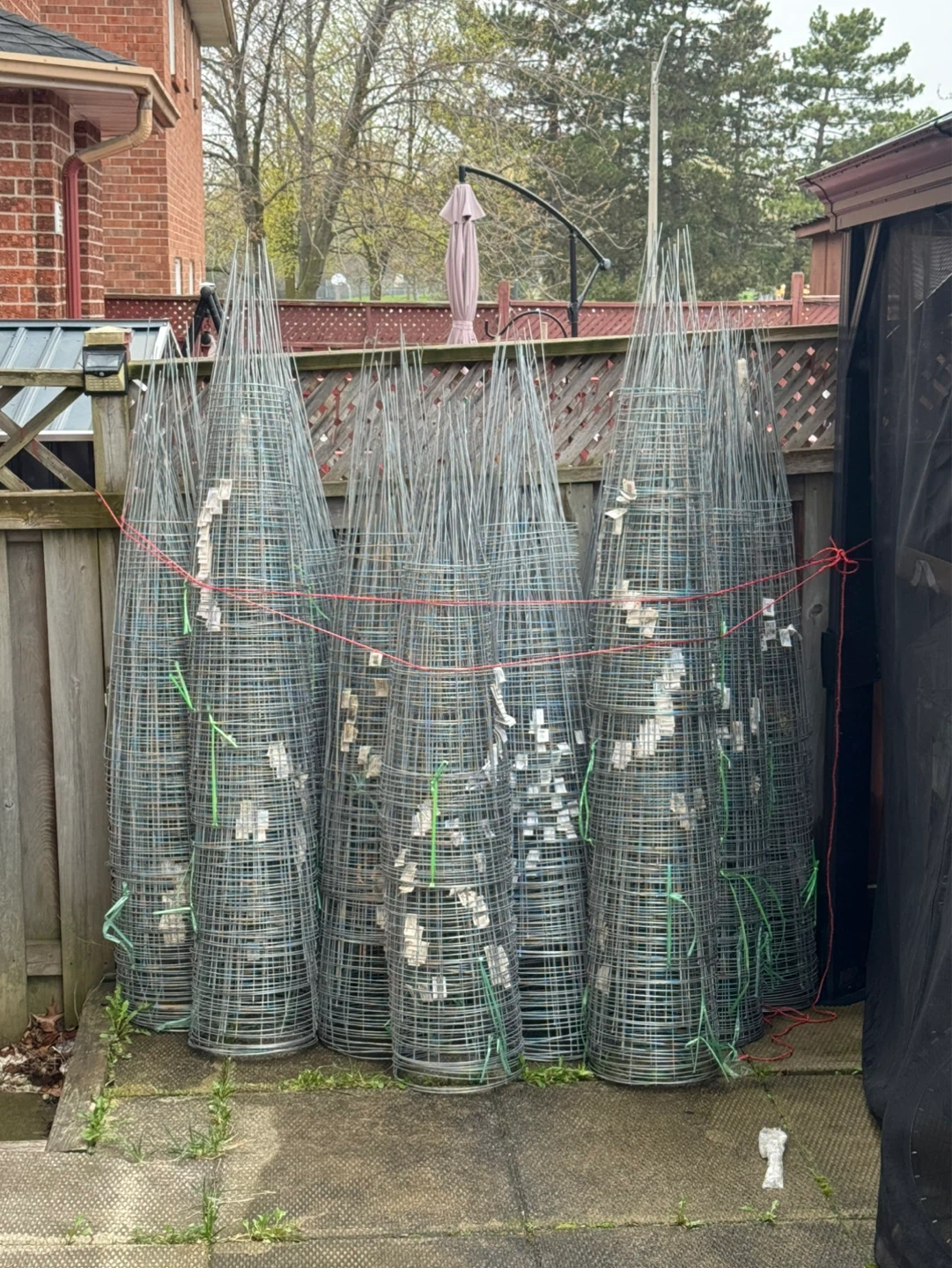 42” Galvanized Tomato Cages for sale - photo 2