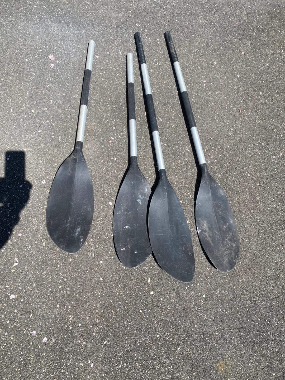 Kayak Paddles (Set of 4)