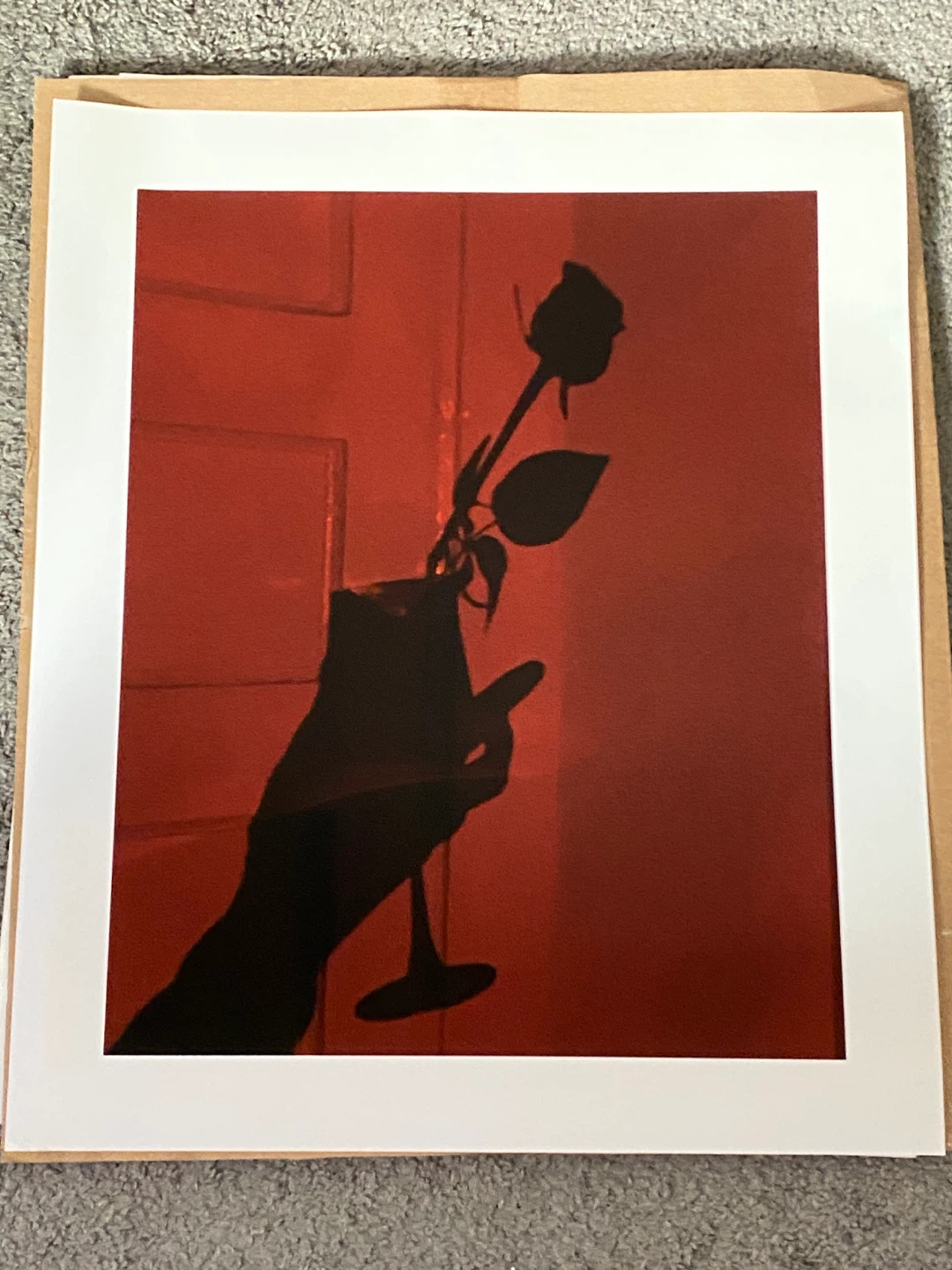 Art Print Sample, 20x24
